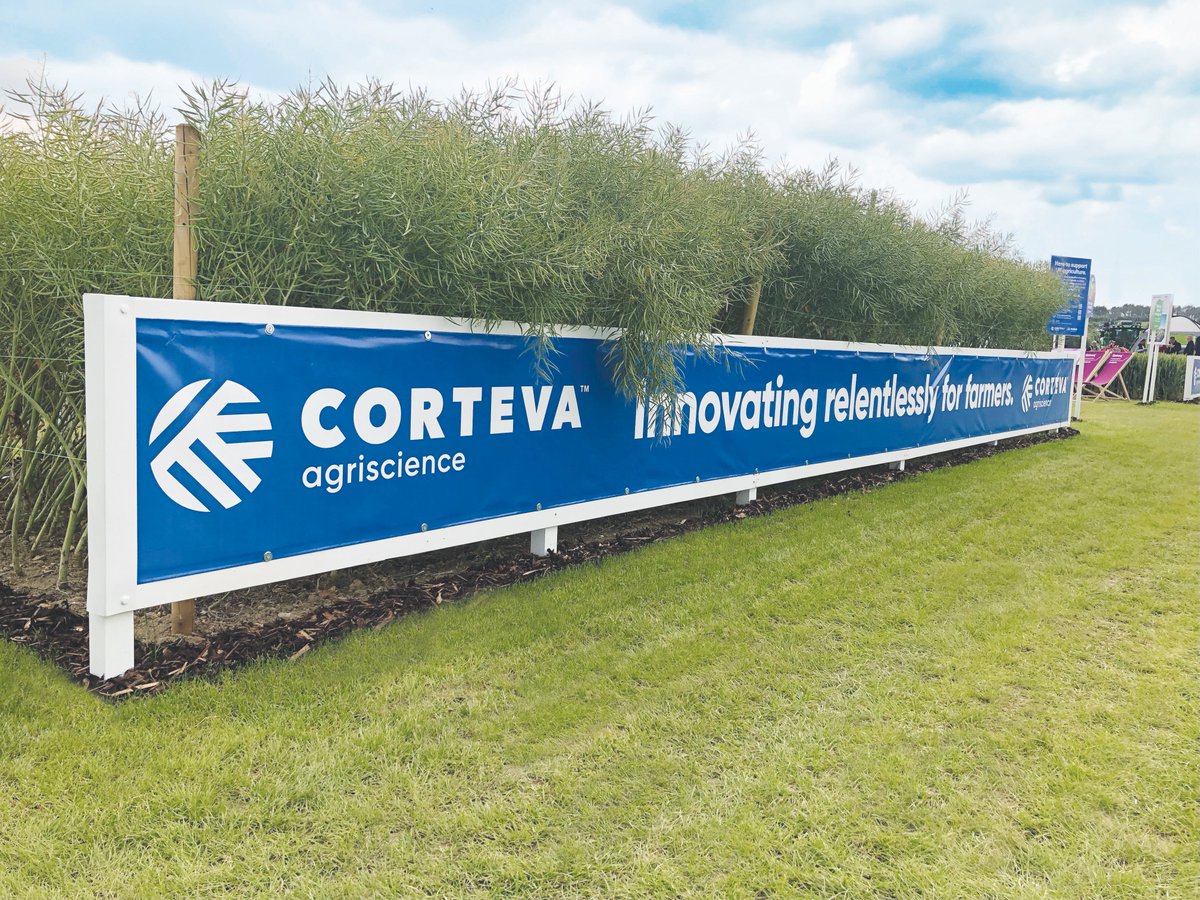 worldofthepoint's tweet photo. After a busy couple of months, was good to be  @CerealsEvent last week. Always encouraging to see the agency’s work building brand awareness &amp; supporting clients with positive conversations around their latest products &amp; solutions. Here's a snapshot for @Elsomsseeds &amp; @CortevaUK https://t.co/BCiQUwzR2b