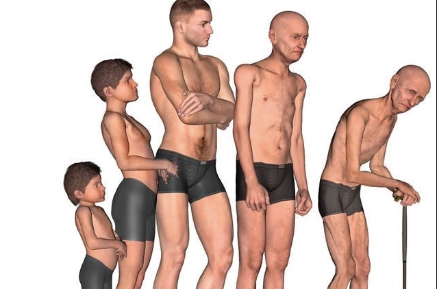 Falls don’t send people to nursing homes. Weaknesses do. 

Every year after 30, you lose 1% of your muscle mass, and this loss accelerates in your 60s.

If you want to prevent losing strength as you age, read this: