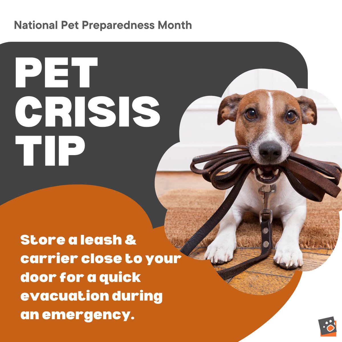 Pet Emergency Tip: Keep a leash and carrier by your door for fast evacuation during crises. Quick access to essentials can make all the difference! 🐾 #PetSafety #EmergencyPreparedness