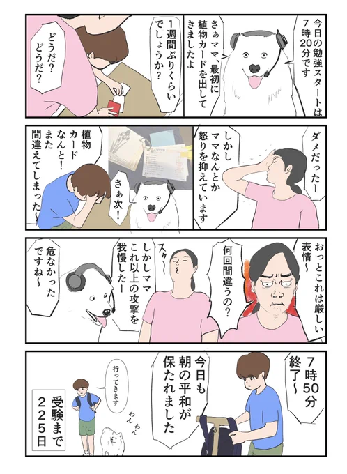 子鉄とハリボー65〜朝の実況〜
#マンガが読めるハッシュタグ #4コマ漫画 
#中学受験 #受験生 #朝勉強 