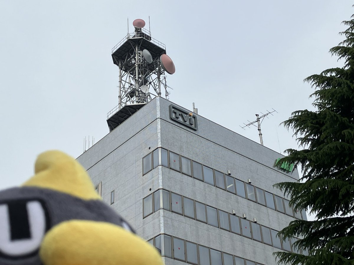 きょうは盛岡❗️テレビ岩手さんにお邪魔してますぞ～

お仕事片付けて美味しいもの食べなきゃ🤤

#くもジロー #出張シリーズ