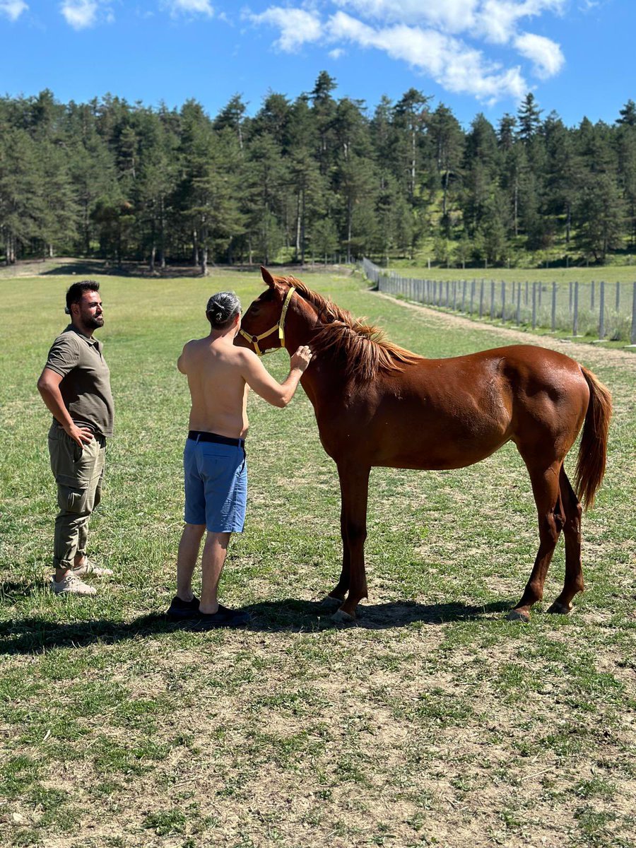 Bütün gözler onun üstünde

<a href="/_TJK_/">Türkiye Jokey Kulübü</a>