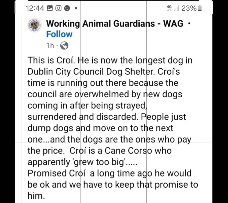 Catríona Lowry tweet media