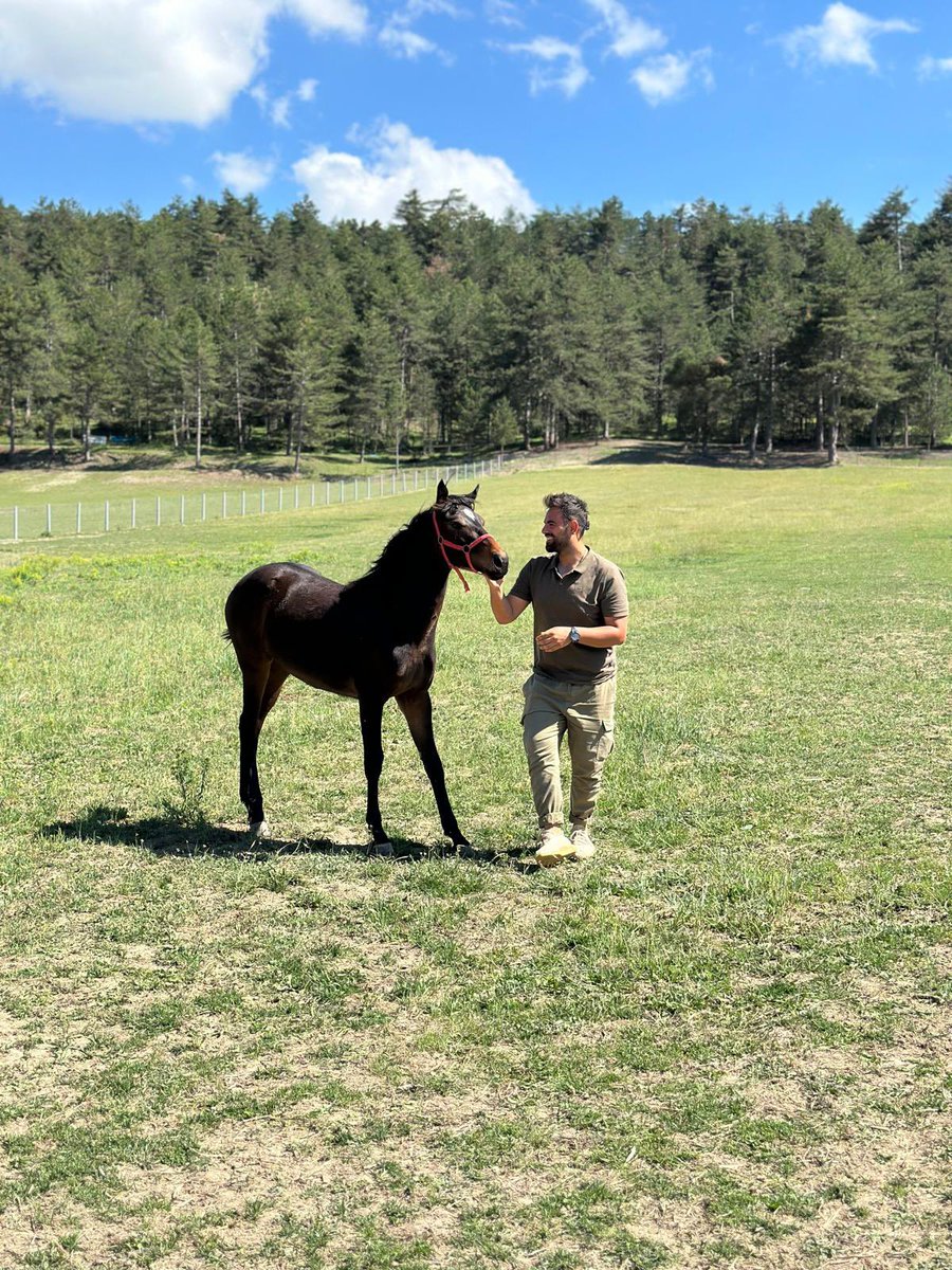 Bitter …

<a href="/_TJK_/">Türkiye Jokey Kulübü</a>