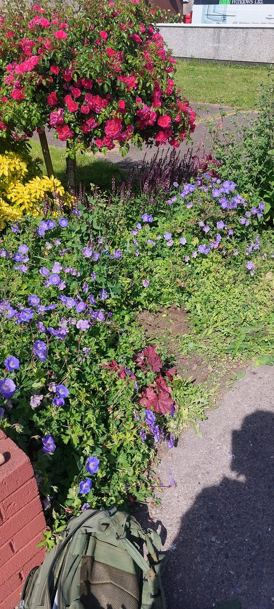 Trevor McCarthy tweet media