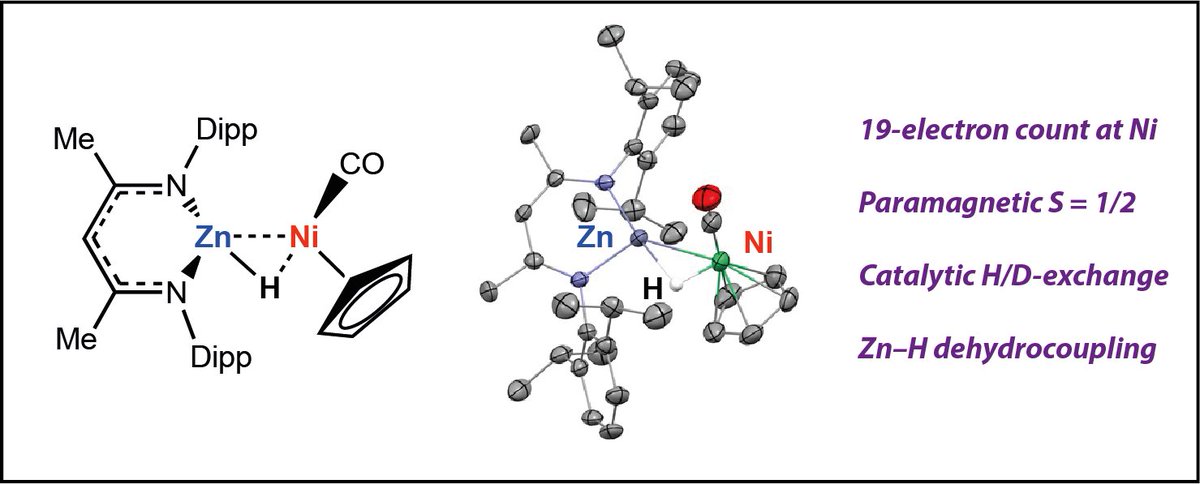 Crimmin Group (@crimmingroup) on Twitter photo New <a href="/ChemRxiv/">ChemRxiv</a> from Marina Perez-Jimenez and <a href="/RoesslerGroup/">Roessler Research Group</a> is now out. It describes the isolation, characterisation, and electronic structure of a Paramagnetic Nickel-Zinc Hydride Complex, along with hints that such species may be relevant in catalysis. chemrxiv.org/engage/chemrxi… New <a href="/ChemRxiv/">ChemRxiv</a> from Marina Perez-Jimenez and <a href="/RoesslerGroup/">Roessler Research Group</a> is now out. It describes the isolation, characterisation, and electronic structure of a Paramagnetic Nickel-Zinc Hydride Complex, along with hints that such species may be relevant in catalysis. chemrxiv.org/engage/chemrxi…