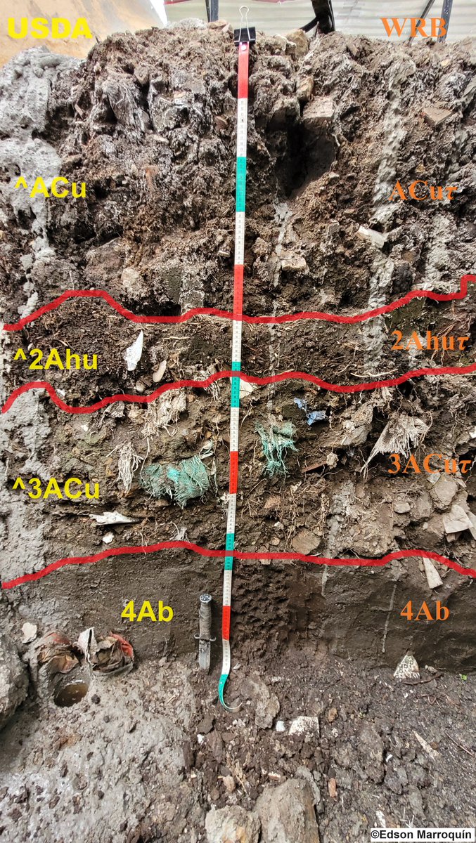 A Pantourbic Technosol (Hyperartefactic, Endoraptic, Pantotransportic) found in Bogotá. Original soil begins at the 4Ab horizon and was buried under 105 cm thick layer of human-trasnported materials (bricks, plastic, glass and textiles).

#soilscience #soilclassification #WRB