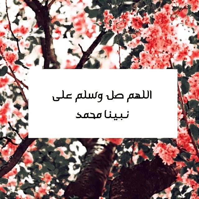 صلوا على رسولنا محمد (@prophetemohamad) on Twitter photo 