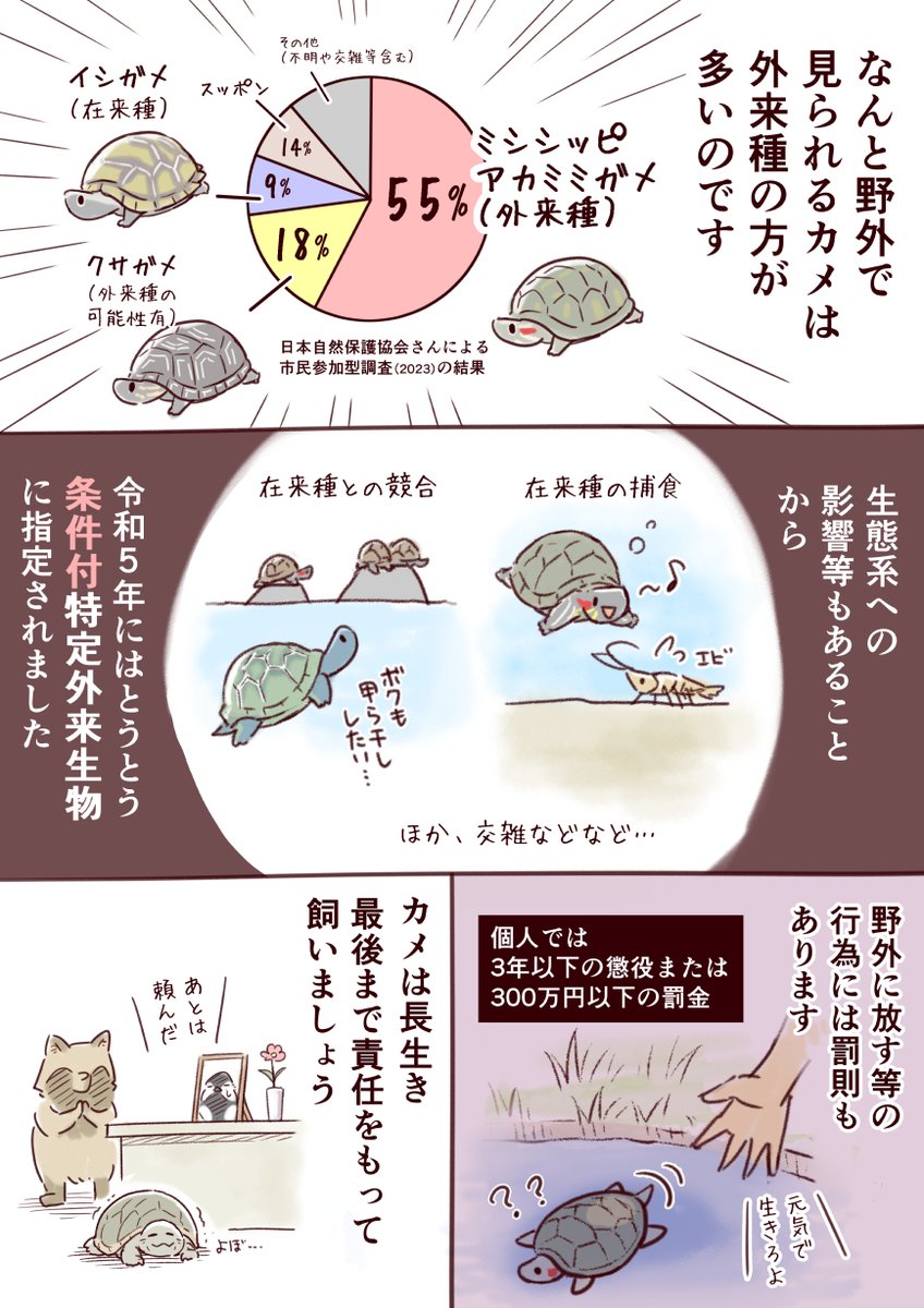 一日一種 (@Wildlife_daily) / Posts / X