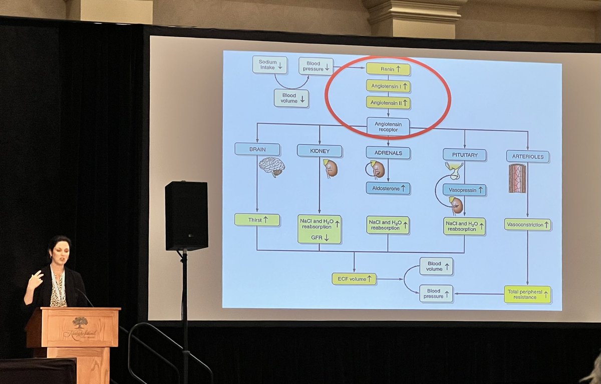 Agnieszka Trzcinka, MD, FASE (@drtrzcinka) on Twitter photo Amazing <a href="/LKolarczyk_MD/">Lavinia Kolarczyk MD, FASA</a> sharing pearls of wisdom on #perioperative management of ACEi and ARBs during #CarolinaRefresherCourse2024 <a href="/WomenInCTAnes/">WomenInCTAnes</a> <a href="/UNC_Anesthesia/">UNC Anesthesiology</a> Amazing <a href="/LKolarczyk_MD/">Lavinia Kolarczyk MD, FASA</a> sharing pearls of wisdom on #perioperative management of ACEi and ARBs during #CarolinaRefresherCourse2024 <a href="/WomenInCTAnes/">WomenInCTAnes</a> <a href="/UNC_Anesthesia/">UNC Anesthesiology</a>