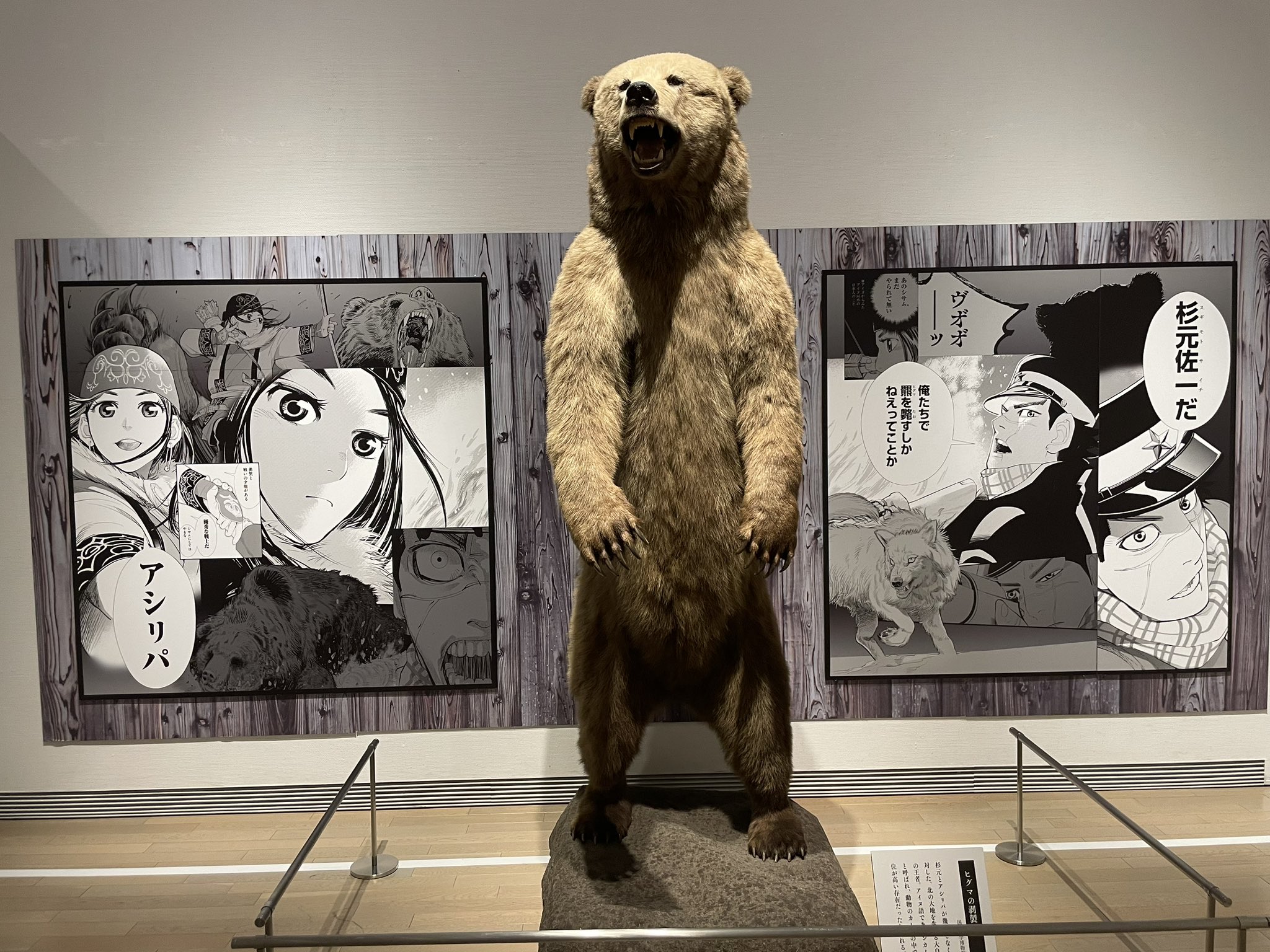 ゴールデンカムイ展 ゴールデンカムイ』ウォールステッカー＜ゴールデンカムイ展