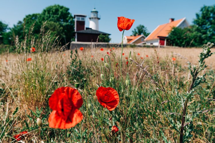 We're joining forces with our friends <a href="/tapecollective/">T A P E</a> to offer a new retreat for independent curators in beautiful Sweden - 22 - 26 Sep 2024, more info here  invisible-women.co.uk/post/t-a-p-e-x…