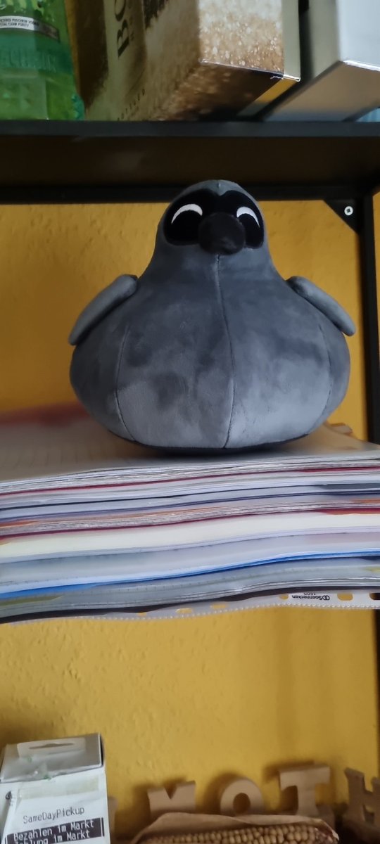 Not_so_Thatcher's tweet photo. @Qyuwi_Ai 
Birb has arrived and now has a new home https://t.co/isUsXKdbtW