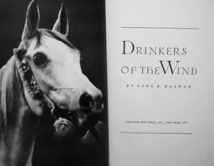 Shliweh11's tweet photo. Drinkers of the wind

بعد أن قرأت هذا الكتاب من تأليف الألماني كارل رسوان "رضوان الرويلي" أرى انه عبارة عن مذكرات تشرح تفاصيل حياته وأسفاره مع القبائل البدوية في شبه الجزيرة العربية، مع التركيز على شغفه العميق بالخيول العربية. وفيما يلي ملخص لمحتوى الكتاب:

#الروله https://t.co/QwTSlzm1Mk