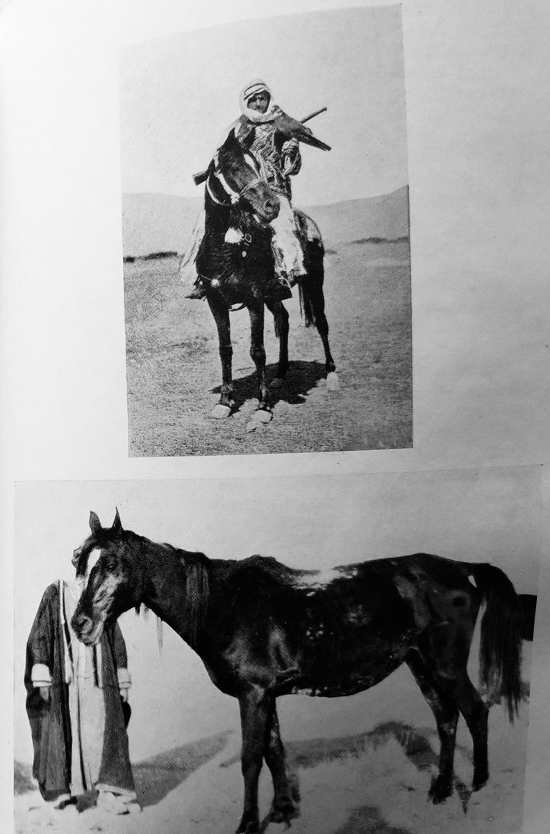 Shliweh11's tweet photo. Drinkers of the wind

بعد أن قرأت هذا الكتاب من تأليف الألماني كارل رسوان "رضوان الرويلي" أرى انه عبارة عن مذكرات تشرح تفاصيل حياته وأسفاره مع القبائل البدوية في شبه الجزيرة العربية، مع التركيز على شغفه العميق بالخيول العربية. وفيما يلي ملخص لمحتوى الكتاب:

#الروله https://t.co/QwTSlzm1Mk