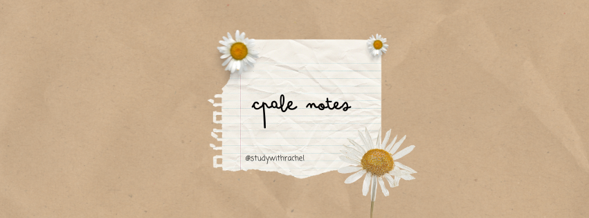 rachel, CPA 🌸 tweet media