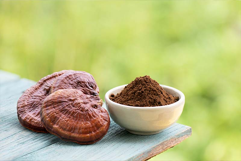 4. Reishi mushrooms.

The main benefits of Reishi:

• Supports immune function
• Anti-inflammatory &amp; antioxidant properties
• Promotes relaxation, reduces stress, &amp; supports sleep quality

Great for overall mood &amp; health.