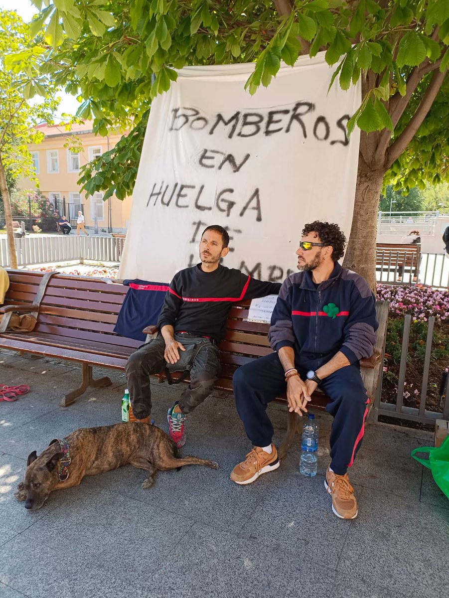 Plataforma Sindical EMT tweet media