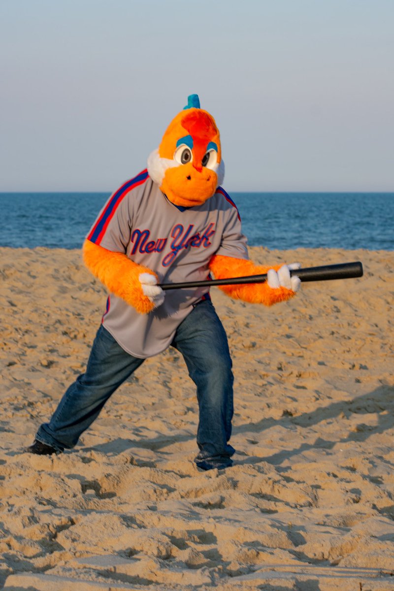 drewskitheyosh's tweet image. Some people enjoy using their time on the beach to relax and let their stress melt away. But when you’re trying to become the greatest baseball player of all time, there are no off days😤😤😤(He is very bad at baseball and also delusional) #FursuitFriday

📸:@Tuftyboi