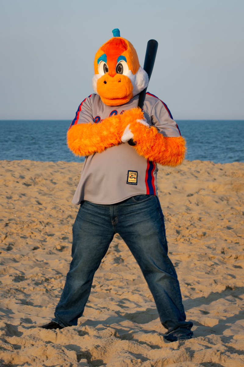 drewskitheyosh's tweet image. Some people enjoy using their time on the beach to relax and let their stress melt away. But when you’re trying to become the greatest baseball player of all time, there are no off days😤😤😤(He is very bad at baseball and also delusional) #FursuitFriday

📸:@Tuftyboi