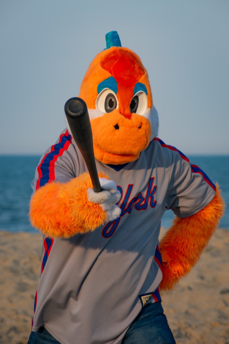 drewskitheyosh's tweet image. Some people enjoy using their time on the beach to relax and let their stress melt away. But when you’re trying to become the greatest baseball player of all time, there are no off days😤😤😤(He is very bad at baseball and also delusional) #FursuitFriday

📸:@Tuftyboi