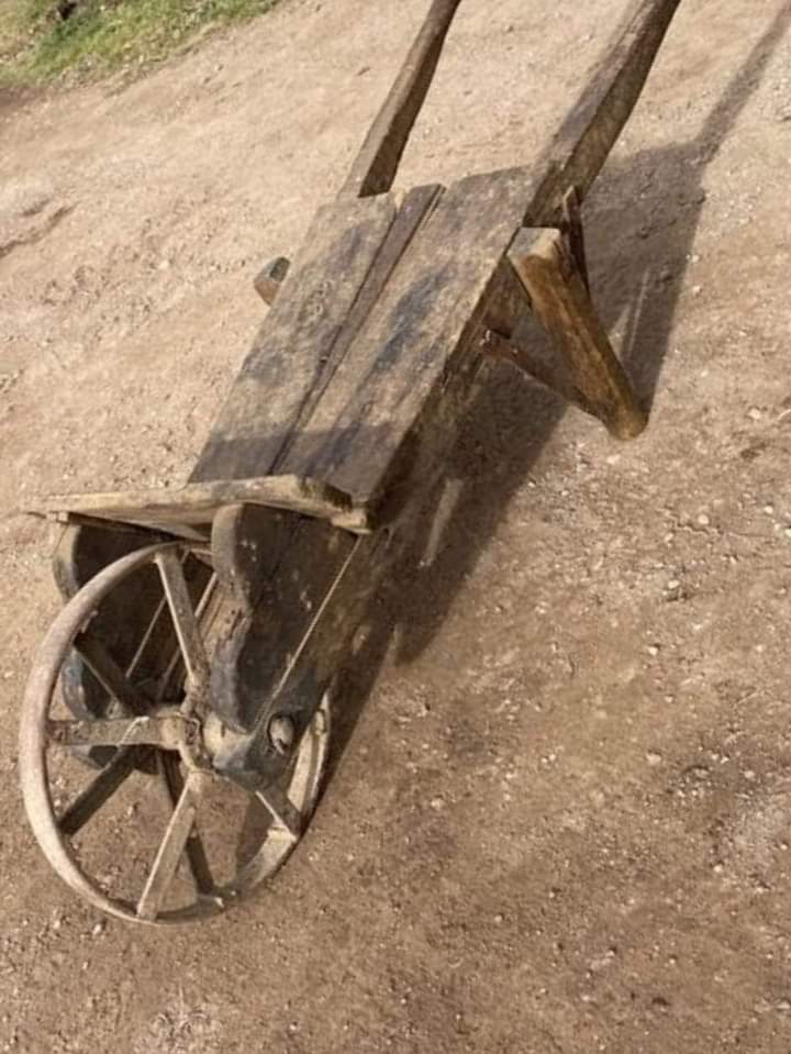 gs_gianka's tweet photo. #sapetevelo
Come la chiamate voi nel vostro dialetto 🤔 🤔 🤔 https://t.co/EZEf9kAZVv