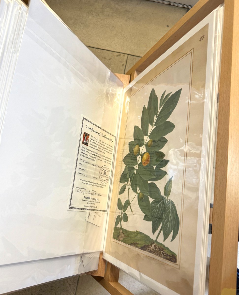 Redcliffe Imaging tweet media