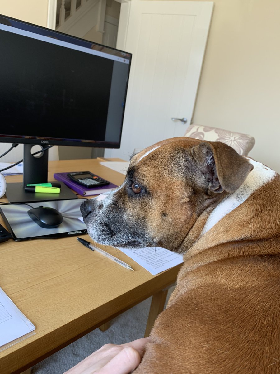 🐾 It's National Bring Your Dog to Work Day! 🐶💼 

Celebrating the best co-workers ever - our furry friends! 🐕✨ 

Who else has a pup keeping them company today? 

Share your #DogAtWork moments! 🐾 

#BringYourDogToWorkDay #BestCoworkerEver #PawsomeDay