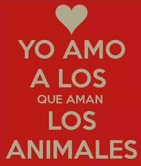 Mucho 😻 #rt #AdoptarSalvaVidas #adoptaNoCompres #BuenosDíasATodos