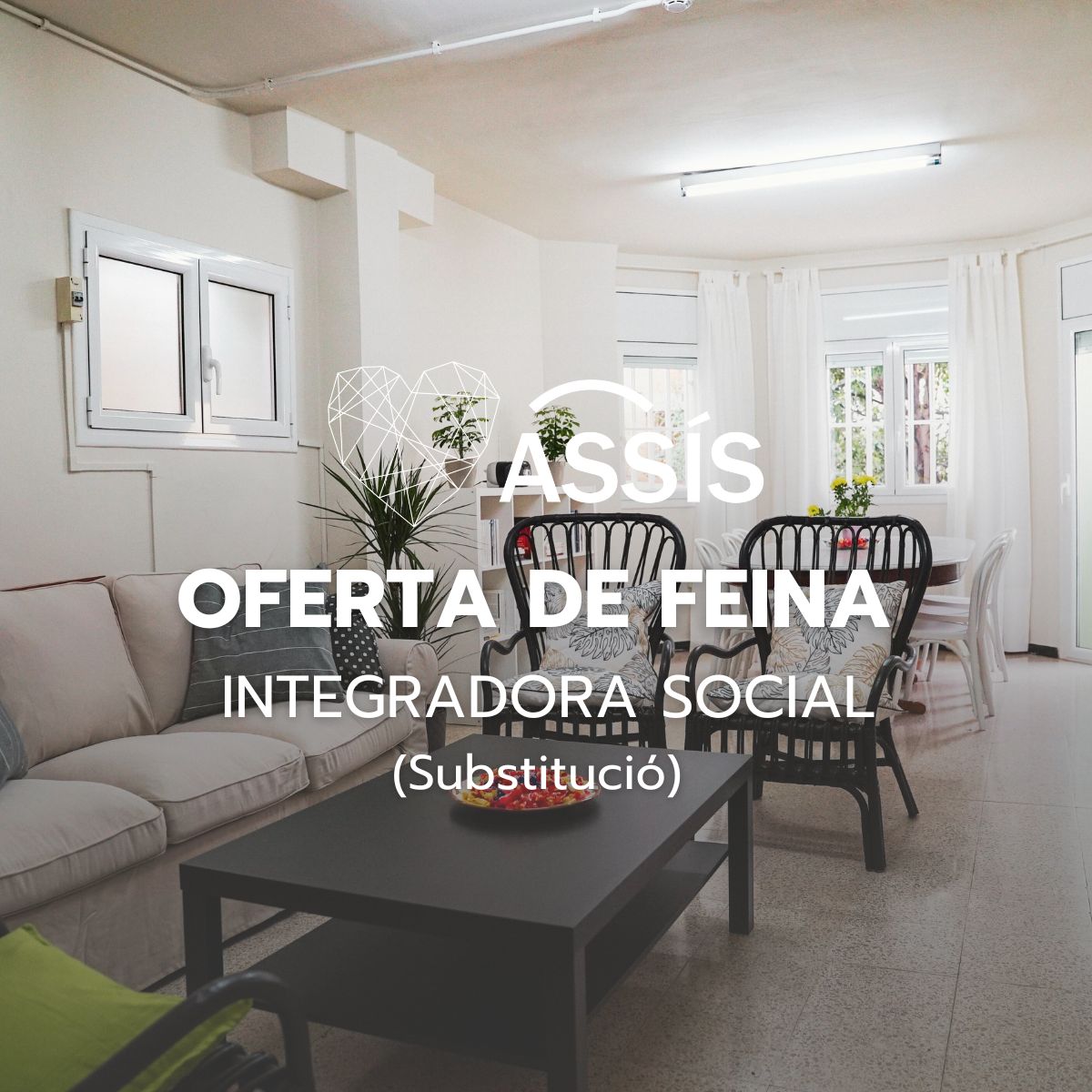 ASSÍS tweet media