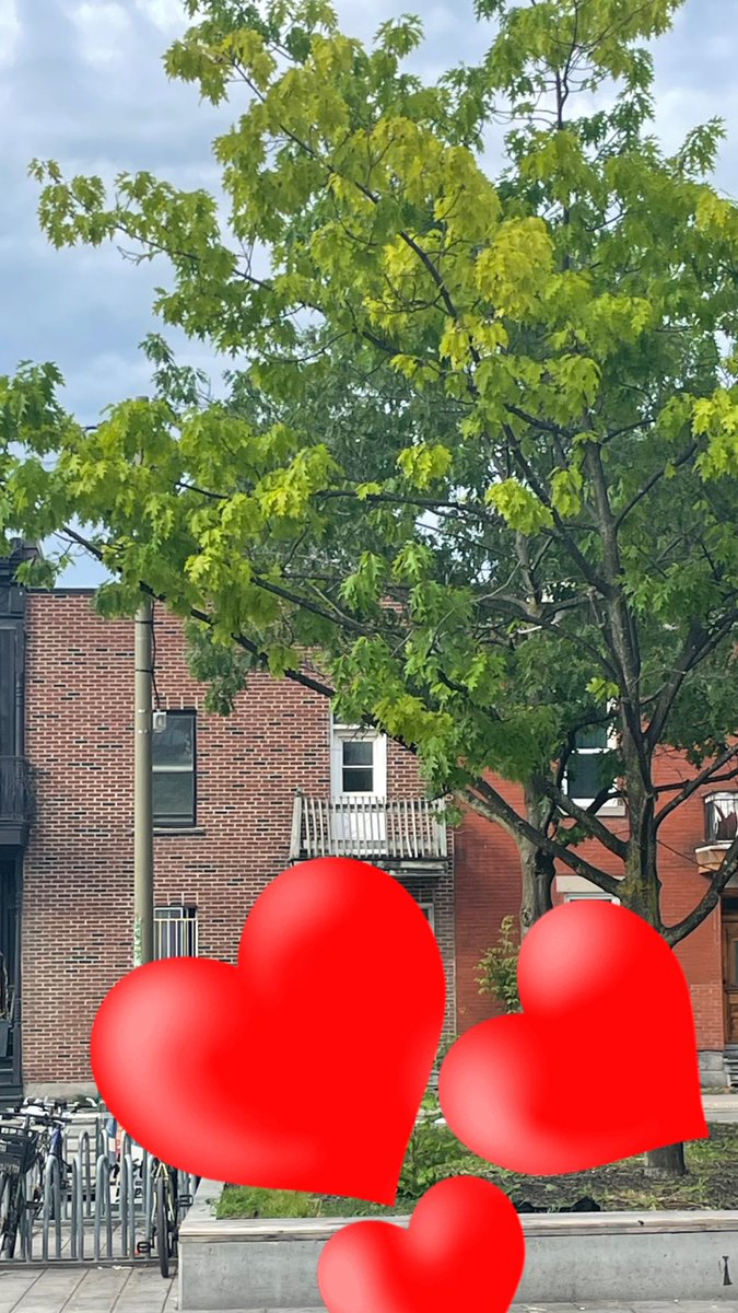 Philippe Sabourin tweet media