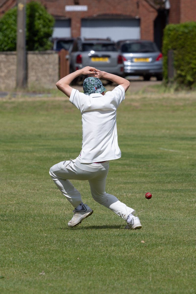 Stragglers2017's tweet image. More action pics.