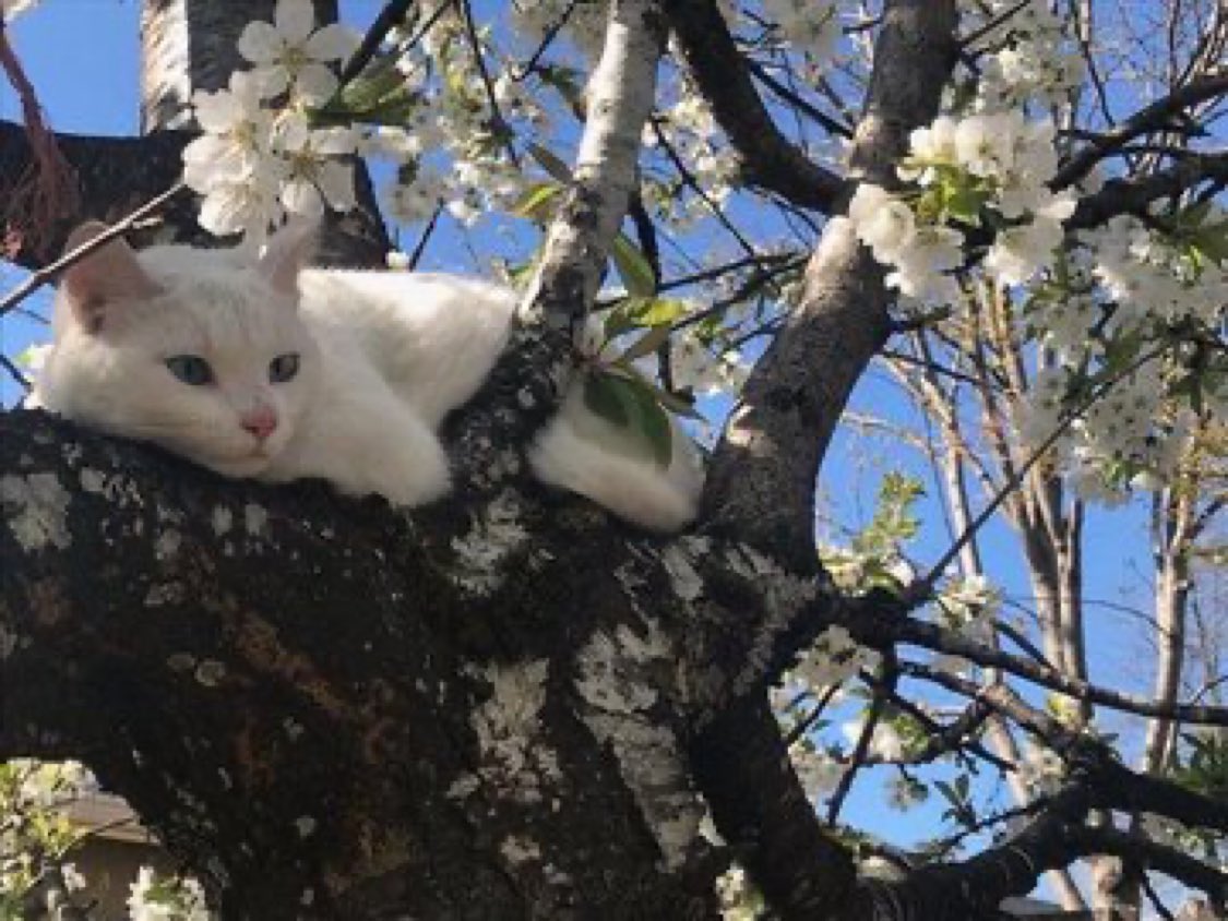 johnkuchendu's tweet photo. Chilling up here https://t.co/beIFawuadk