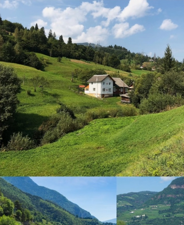 Max Asabin tweet media