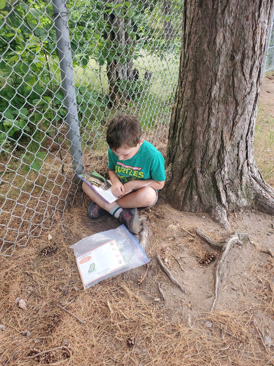 Mrs. Baskwill (@gillbaskwill) on Twitter photo It's The Gruffalo Day! We're reading in the Deep Dark Woods. No sign of The Gruffalo or the mouse yet! #seewhatIamlearning <a href="/SMES01/">St. Mary's Elem</a> It's The Gruffalo Day! We're reading in the Deep Dark Woods. No sign of The Gruffalo or the mouse yet! #seewhatIamlearning <a href="/SMES01/">St. Mary's Elem</a>