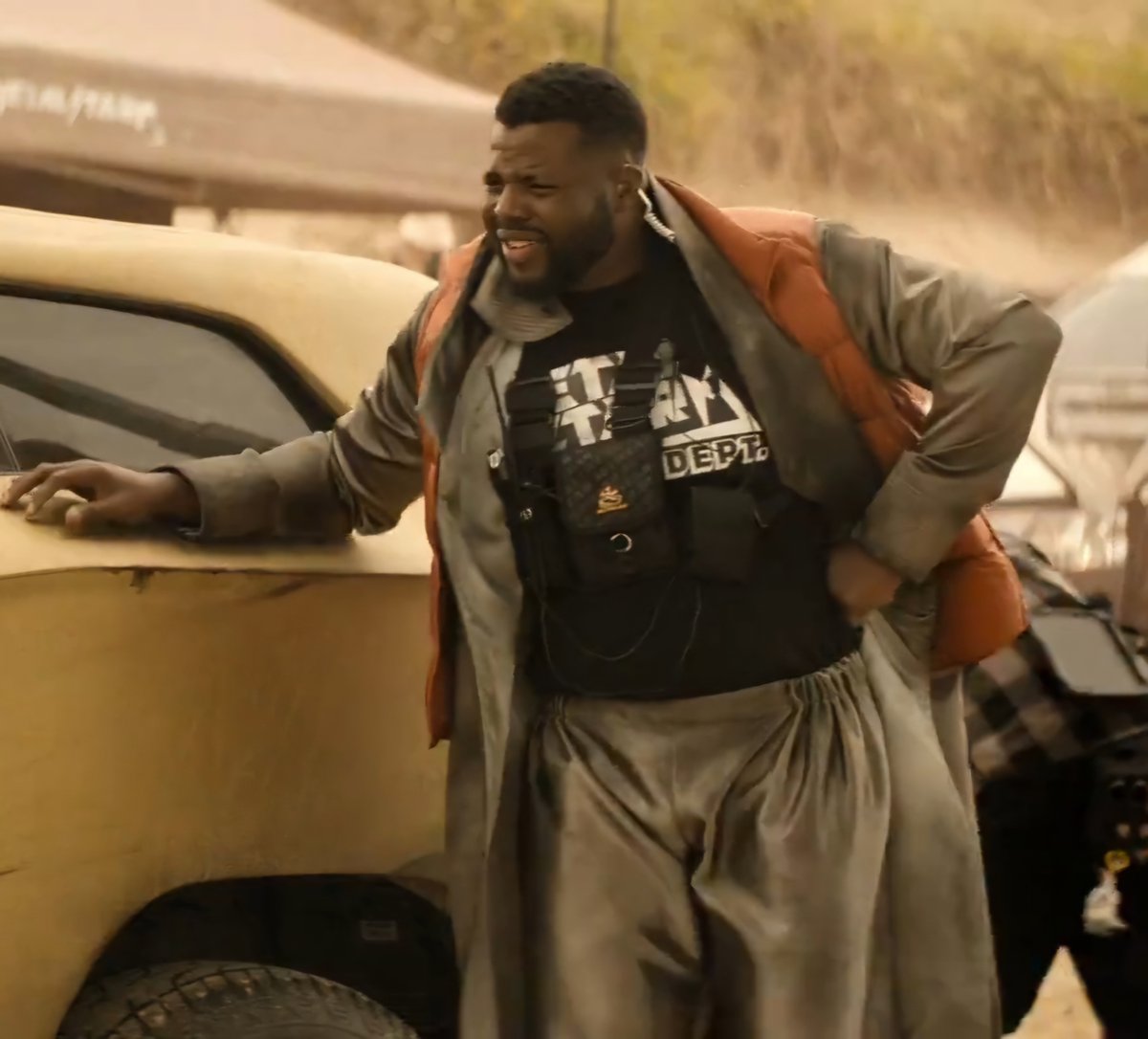 archive bears tweet media