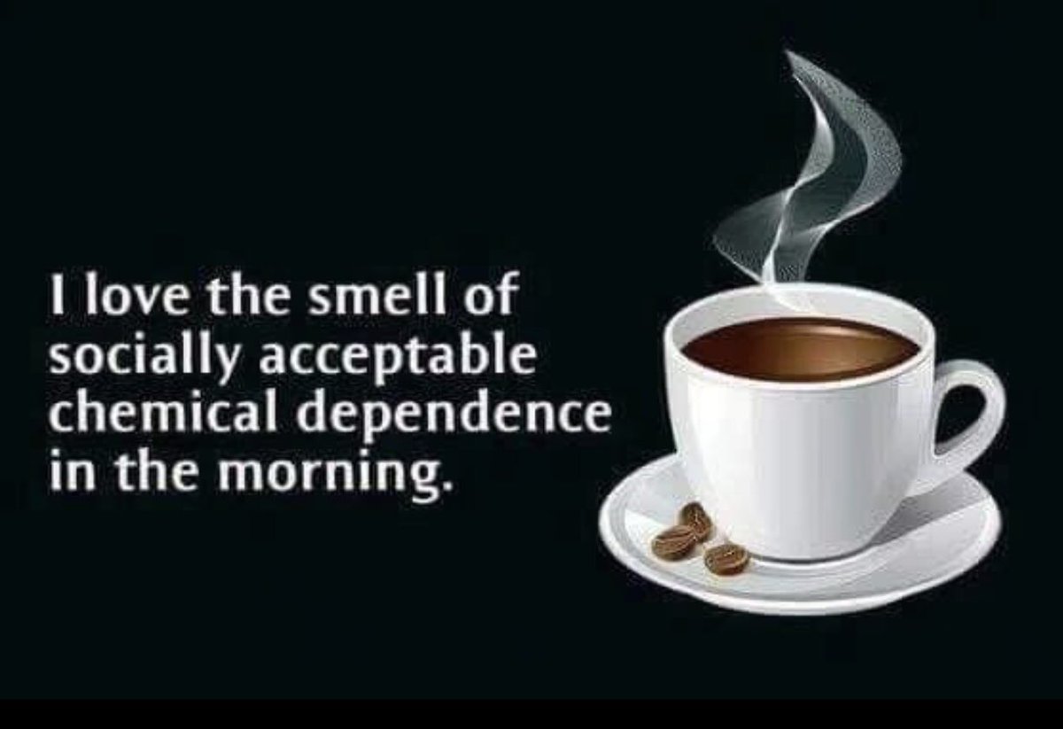 This. Absolutely this!😆😆