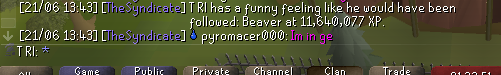 Tri_OSRS's tweet photo. #Anotherone #ironmanosrs https://t.co/WtscxOcJP8