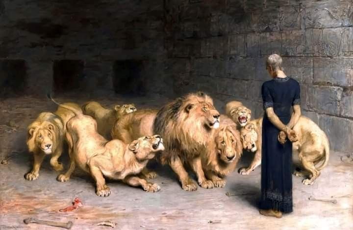 OUSSAMAAZIANII 𝕏 tweet media