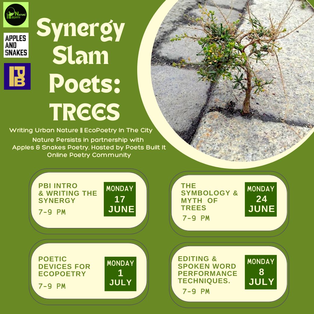 Trees: a silent powerful force in big towns and cities.
Their presence intertwines with the lives of us all.

Write new EcoPoetry on this 4 week program.
Find pout more about the program here.
synergyslampoets.com

<a href="/NaturePersists/">Nature Persists Poets</a>
<a href="/ApplesAndSnakes/">Apples and Snakes</a> 
<a href="/SynergySlamPoet/">Synergy Slam Poets</a>