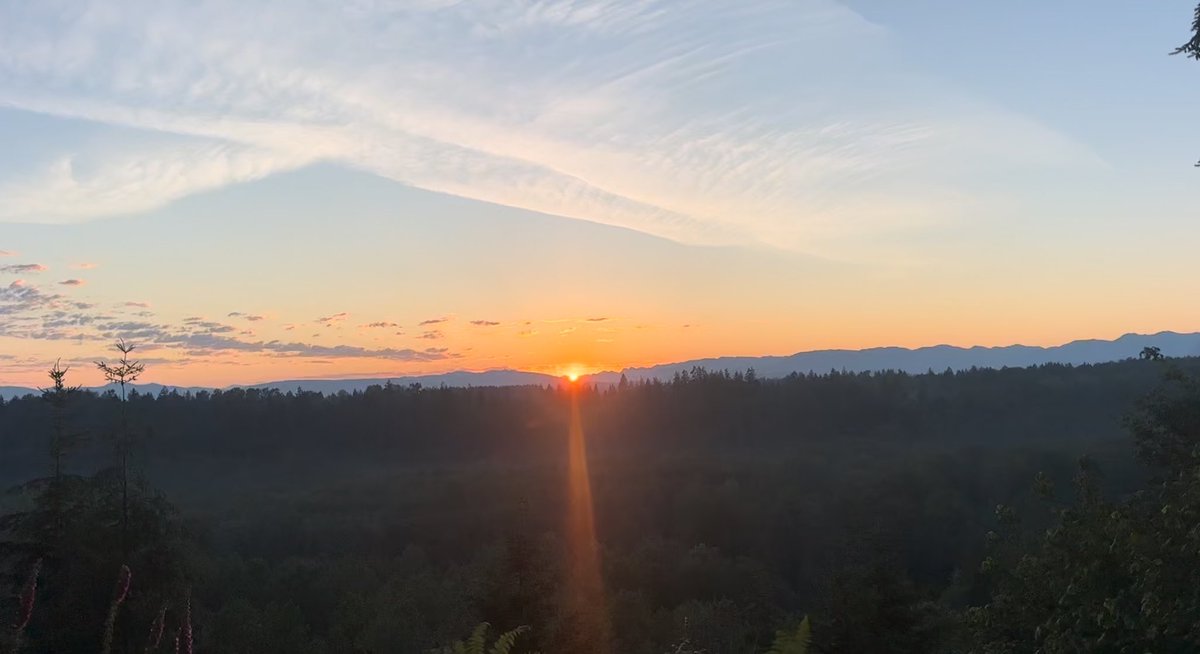 Jen Irwin tweet media