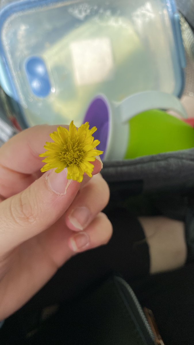 NeereaRio's tweet photo. Hoy si que si digo hasta siempre a esta etapa tan bonita. Me llevo la sonrisa de cada niño. Me voy con experiencia. Me voy con ganas de seguir aprendiendo. Me voy con ganas de volver. Me voy sabiendo que este mundo, la educación, esta hecho para mi. Gracias❤️‍🩹 https://t.co/oUDHZhMOg8