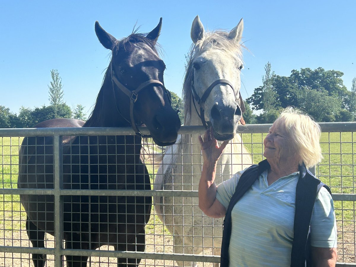 Lovely moment of Yvonne visiting her two favourite boys with polos this morning! 17 yo gelding Kajima (her first winner in her own colours) &amp; 15yo gelding Grandeur (Gr1 performer &amp; HOYS 🏆) enjoying retirement on the farm.
