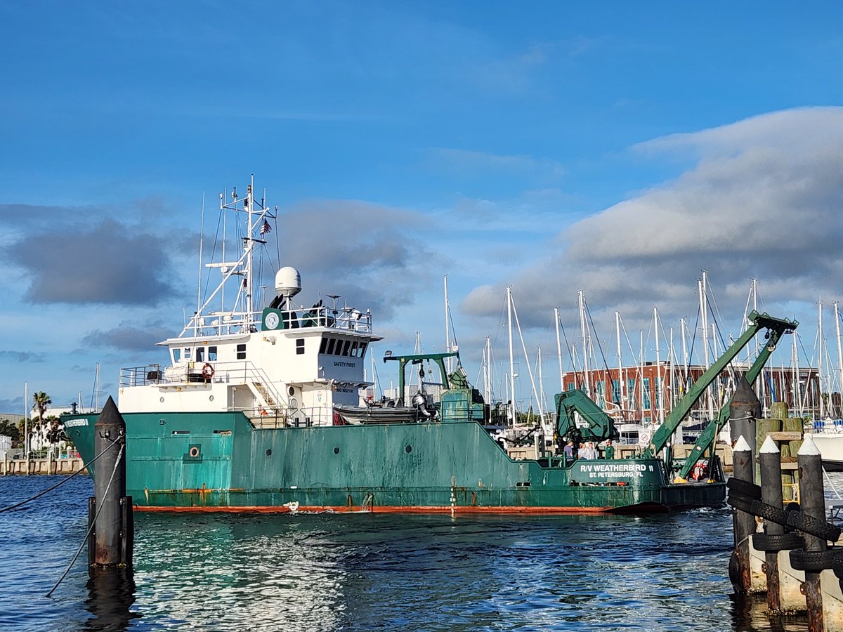 FishEcologyLab's tweet image. The Weatherbird II headed offshore this morning for a 12-day cruise to collect fish eggs across the broad West Florida Shelf using a Continuous Fish Egg Sampler (CUFES). #GOM_SHELF @FIOTweet @virome_girl @USFCMS @USFResearch