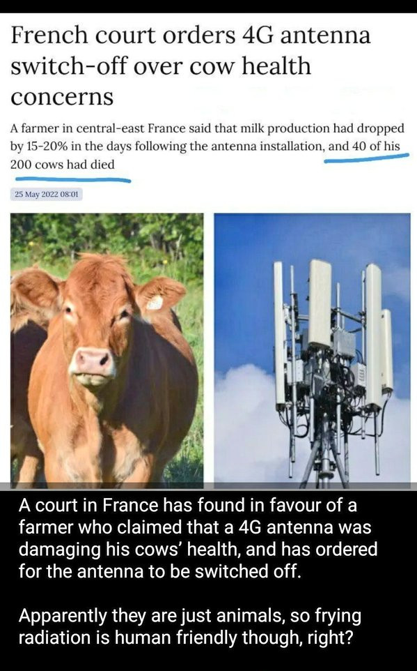 thehealthb0t's tweet image. 