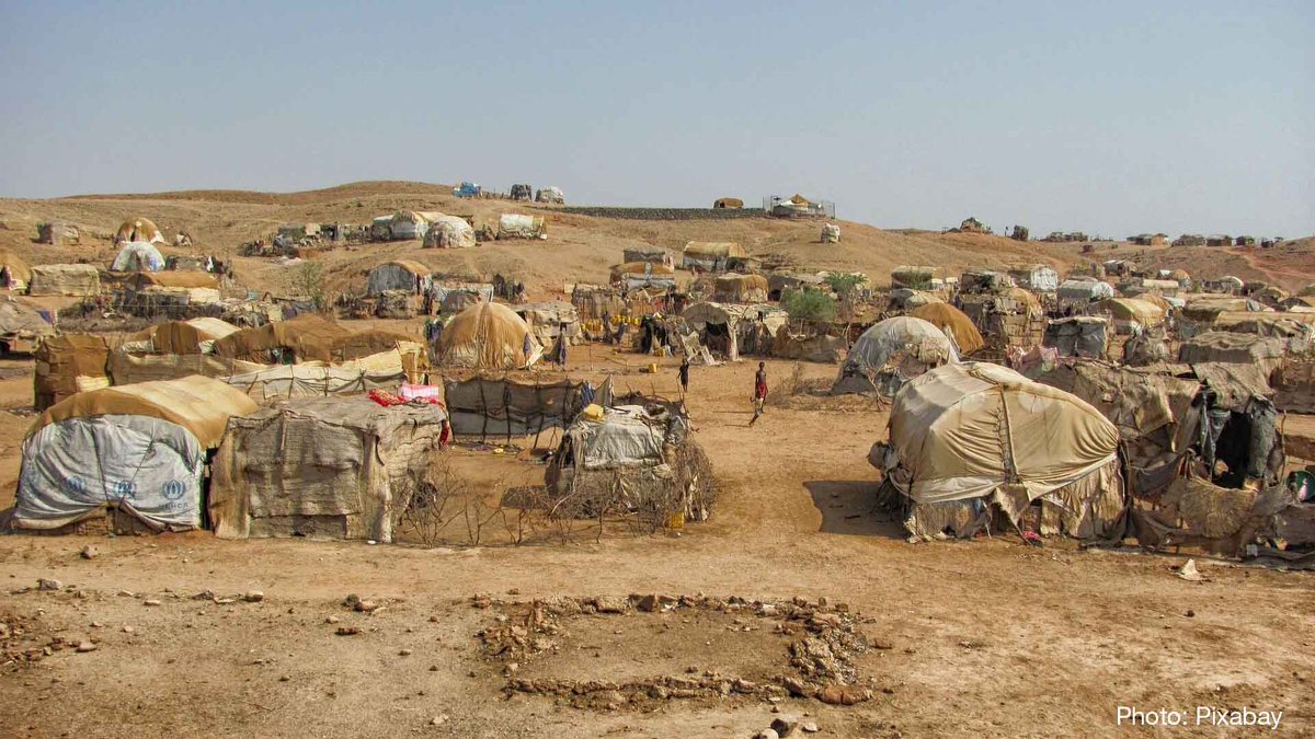 IUCN (@iucn) on Twitter photo As #ClimateChange and conflict increase, conservationists need to better consider how they engage with migration and displacement of both human and other species.
Learn more in the new <a href="/IUCN_CEESP/">IUCN CEESP</a> report.
➡️ bit.ly/3z7I1Sq As #ClimateChange and conflict increase, conservationists need to better consider how they engage with migration and displacement of both human and other species.
Learn more in the new <a href="/IUCN_CEESP/">IUCN CEESP</a> report.
➡️ bit.ly/3z7I1Sq
