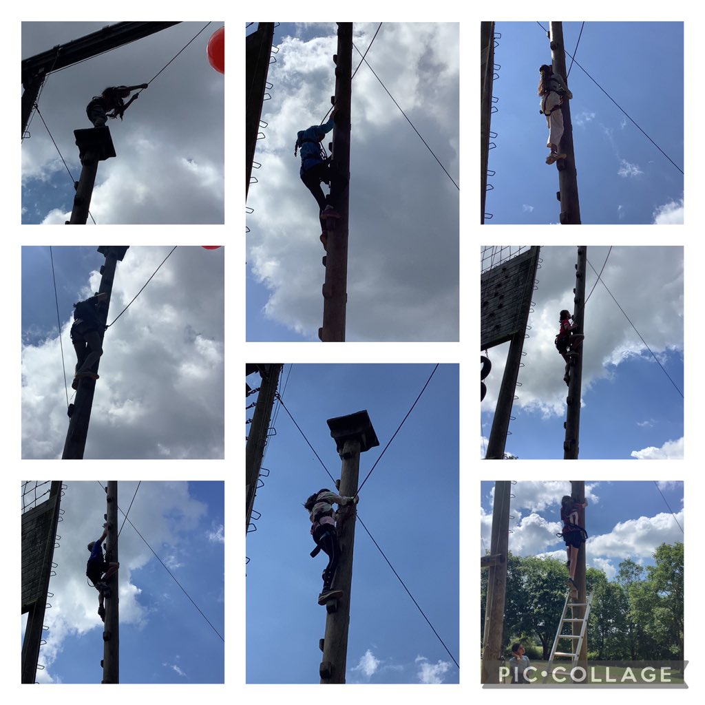 Preston Hedges tweet media