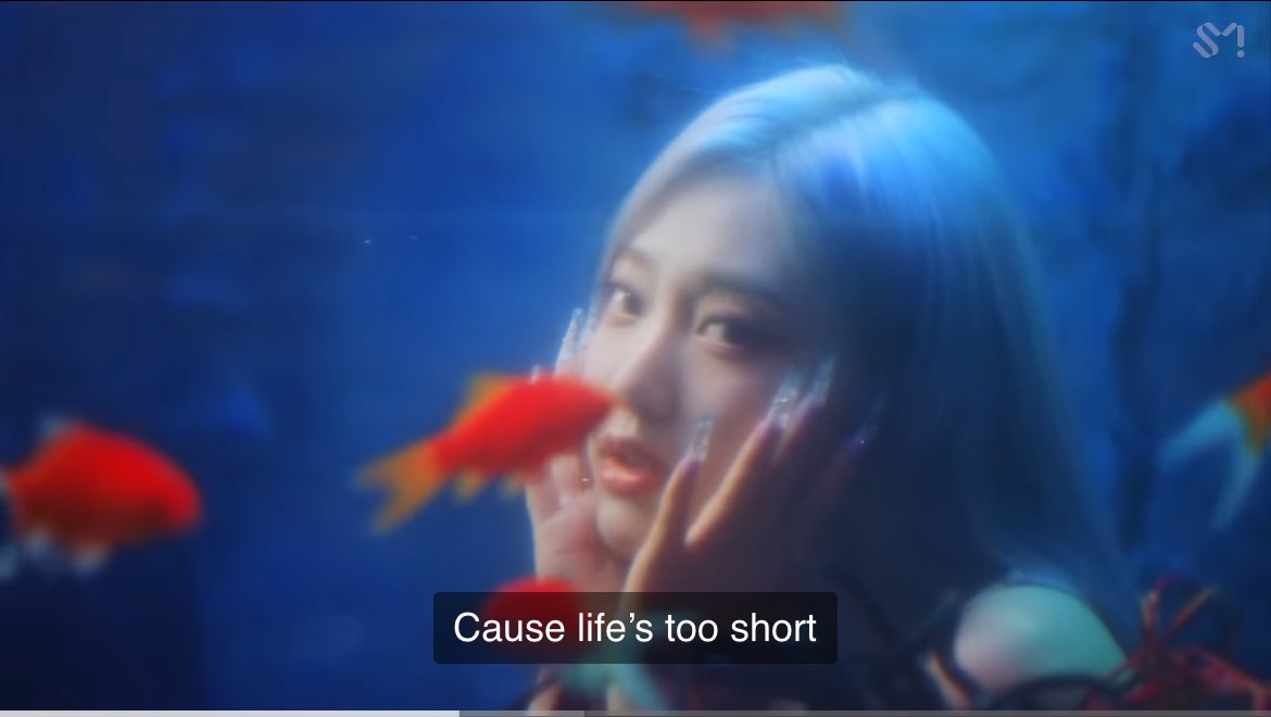 myae_universe's tweet photo. Not y'all gatekeeping a fish. 🥴 https://t.co/S3H4WqRPzI