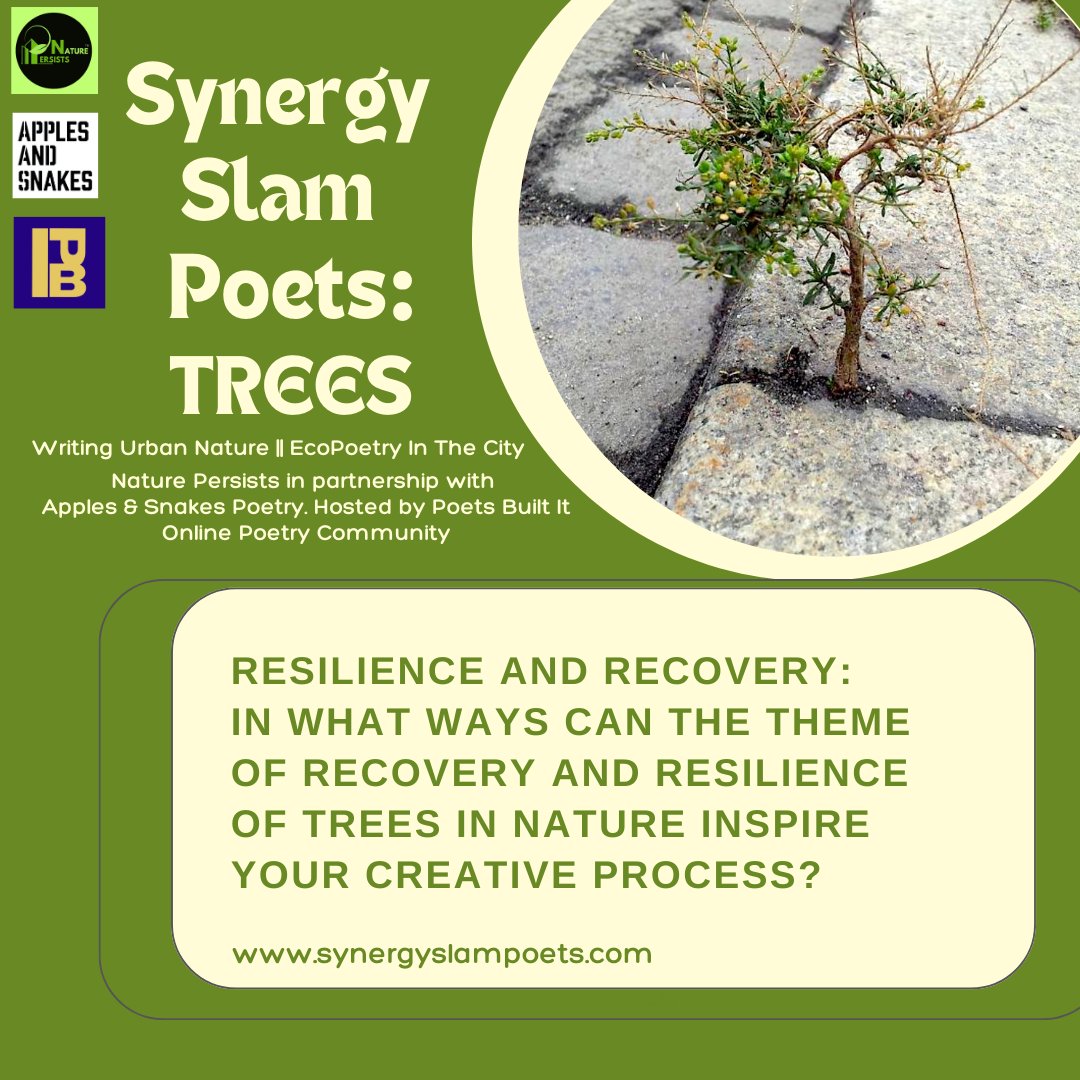 #SynergySlamPoetsTREES24
Sign Up to synergyslampoets.com/trees-blog-res… for regular writing prompts, blog and resource updates.

<a href="/NaturePersists/">Nature Persists Poets</a> 
<a href="/ApplesAndSnakes/">Apples and Snakes</a> 
<a href="/PoetsBuiltIt/">Poets Built It</a>