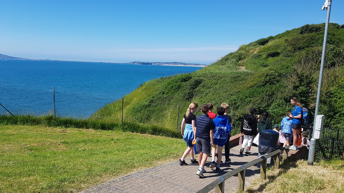 Y6@fircroft.family tweet media